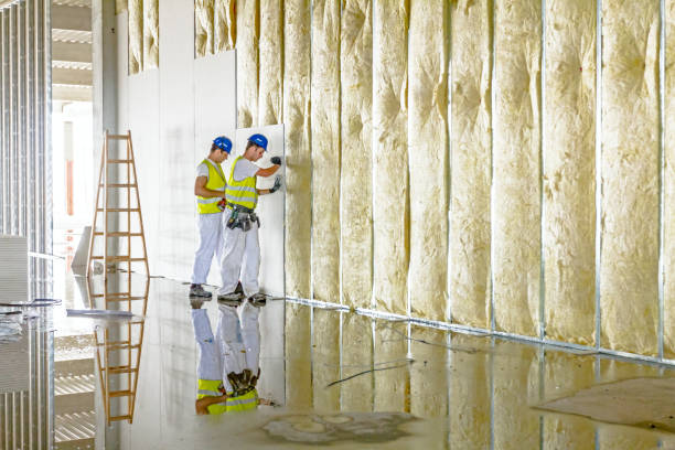 Eco-Friendly or Green Insulation Solutions in Pretty Bayou, FL